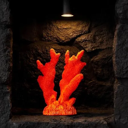 Concha Con Perla ヴィラ