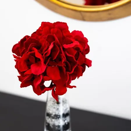 Concha Con Perla ヴィラ