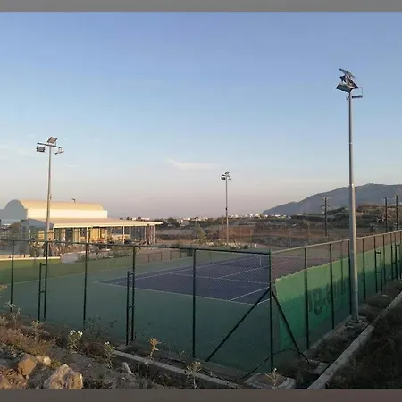 Concha Con Perla Willa *