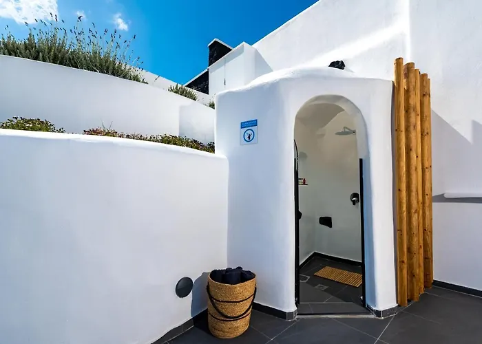 Concha Con Perla Willa *