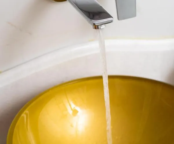 Concha Con Perla * Monolitos