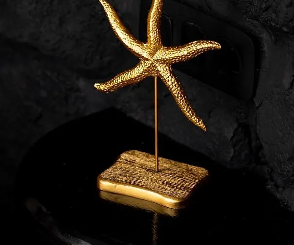 Concha Con Perla Willa