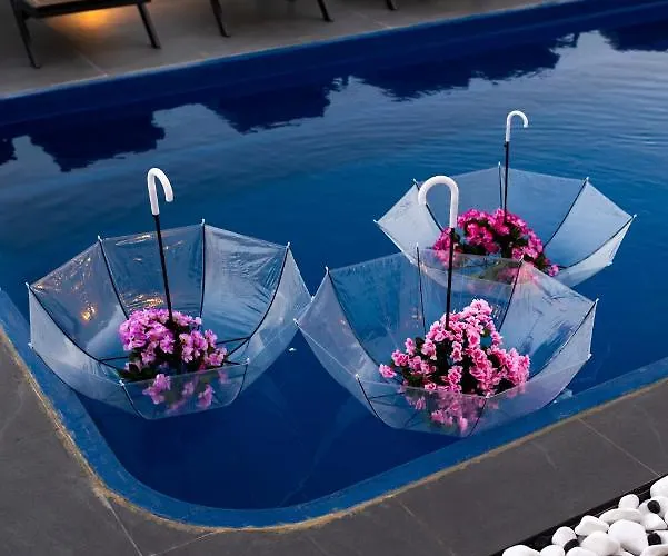 Concha Con Perla Willa