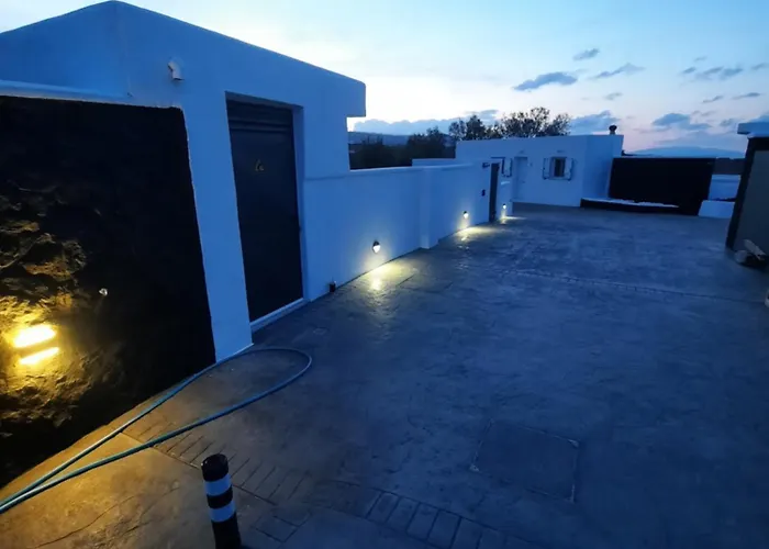 Concha Con Perla Willa *