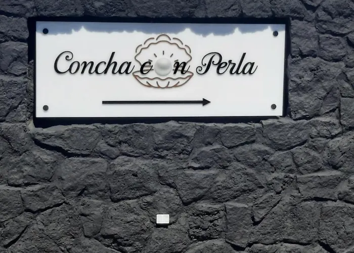 Concha Con Perla Willa