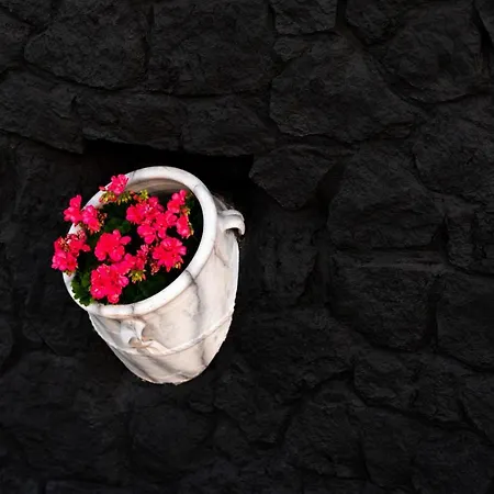 Concha Con Perla 别墅 莫诺利索斯