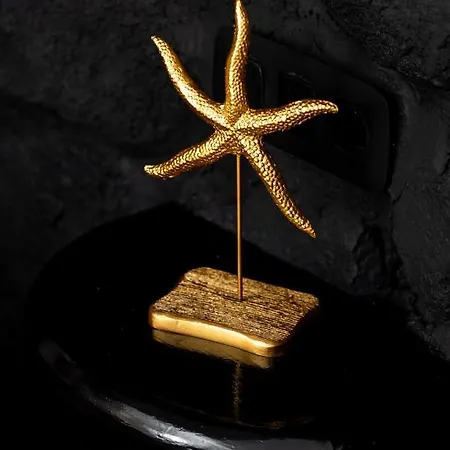 Concha Con Perla فيلة