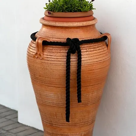 Concha Con Perla * Μονόλιθος