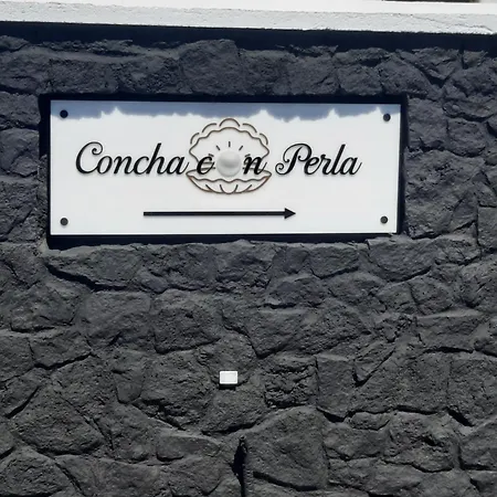 Concha Con Perla Villa
