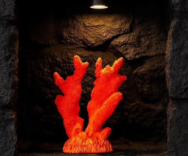 Concha Con Perla ヴィラ